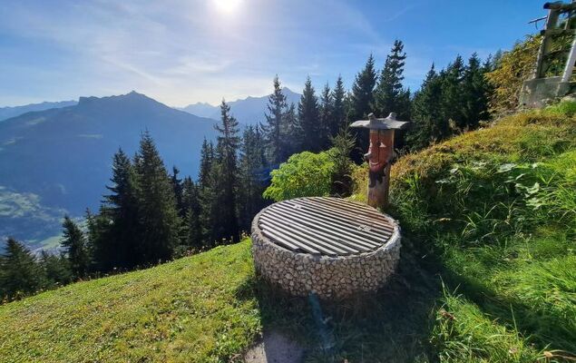 Nasenalmhütte - Photo 21