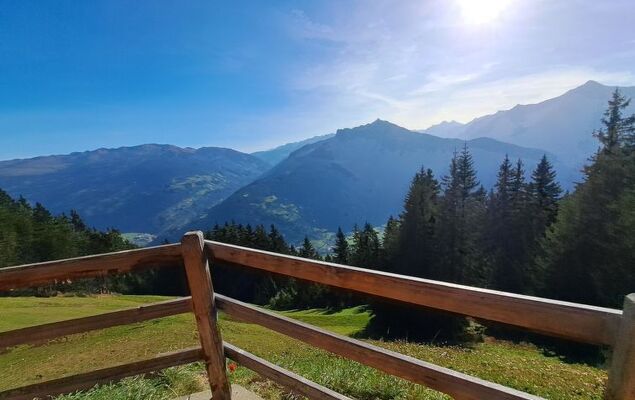 Nasenalmhütte - Photo 28