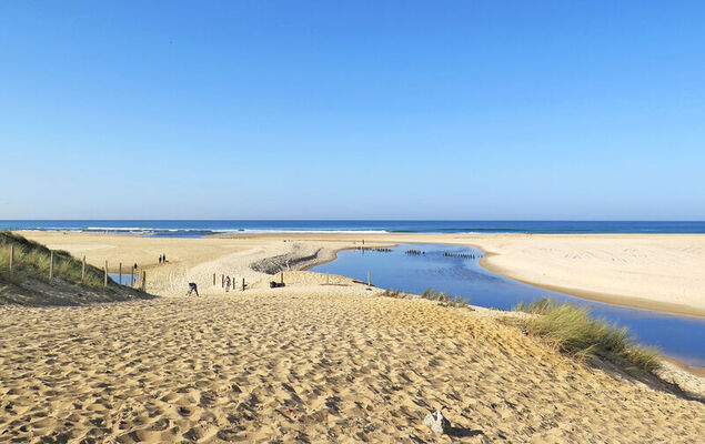Les Fougères - Photo 33