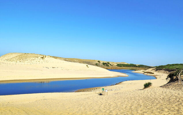 Les Fougères - Photo 34